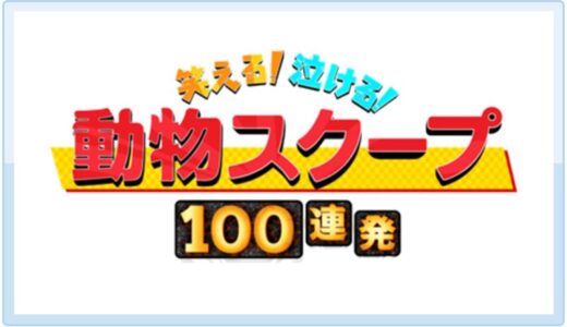 【動物スクープ100連発】無料動画・見逃し配信！